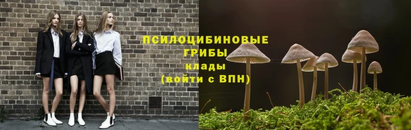 индика Богданович