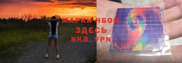 индика Богданович
