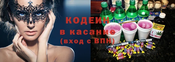 индика Богданович