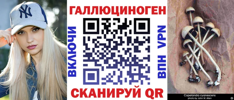 Галлюциногенные грибы мицелий Макаров