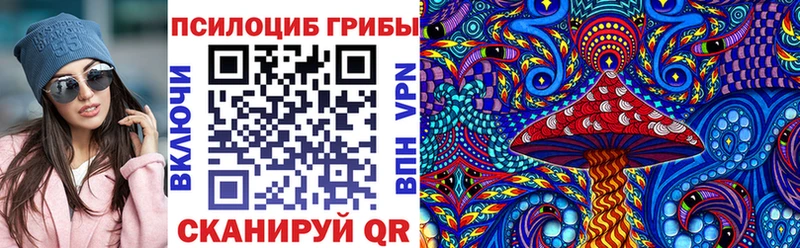 Псилоцибиновые грибы Psilocybine cubensis Макаров